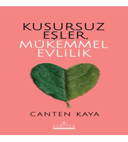 Kusursuz Eşler, Mükemmel Evlilik