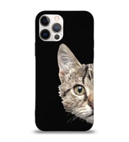 Apple iPhone 12 Pro Max Uyumlu Lansman Kılıf Catface Tasarımlı Altı Kapalı İçi Kadife Kaplı  Kapak (Şeffaf)