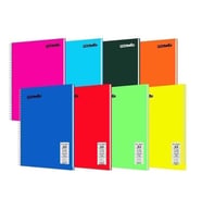 Flex Neo 40 Yaprak A4 PP Kapak Spiralli Defter (2 Adet Çizgili- 1 Adet Kareli) (Karışık)