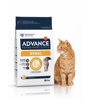 ADVNCE Veterinary Diets Renal 1 Kg Açık Kedi Maması