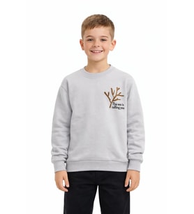 Erkek Çocuk Önü Baskılı Sweatshirt BGL-ST05238 (Gri)