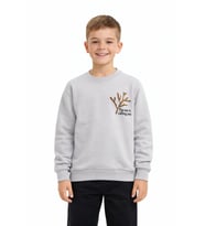 Erkek Çocuk Önü Baskılı Sweatshirt BGL-ST05238 (Gri)