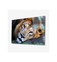 Miyrem Glasses Collection -A1^#  Aslan Hayvan Cam Tablo (Çok Renkli)