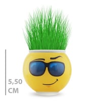 Çim Adam Saksı Emoji Figürlü 1 Adet
