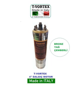 ORJİNAL İTALYAN 1 HP 220v Bronz Yağ Çemberli NSK Rulmanlı 4" Dalgıç Pompa Çıplak Motor