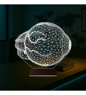 Luvivia Göz Doktoru Hediye 3D Lamba - Masa Gece Lambası