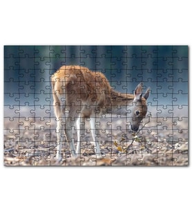 Cakapuzzle Yavru Geyik ve Yerde Kuru Yapraklar Puzzle Yapboz MDF (Ahşap) (120 Parça)