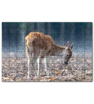 Cakapuzzle Yavru Geyik ve Yerde Kuru Yapraklar Puzzle Yapboz MDF (Ahşap) (120 Parça)