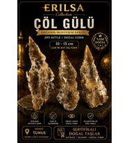 Sertifikalı Çöl Gülü Taşı Kütle - 10-15 cm Çok İri Diş Doğal Jips Kristal Toplu (Çok Renkli)