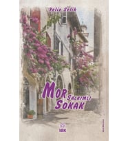 Mor Salkımlı Sokak