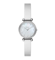 FOSSIL FBQ3893