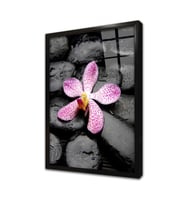 Spa Taşları ve Orkide Çerçeveli Cam Tablo