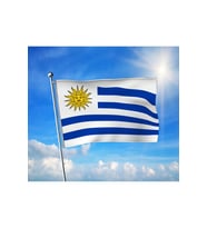 Uruguay Bayrağı Premium Raşel Kumaş 70x105 cm