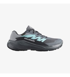 Salomon ALPHAGLIDE GORE-TEX Kadın Ayakkabısı L47802300 (Çok Renkli)