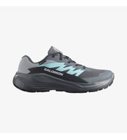 Salomon ALPHAGLIDE GORE-TEX Kadın Ayakkabısı L47802300 (Çok Renkli)