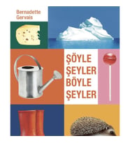 Şöyle Şeyler Böyle Şeyler