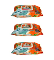 Freshmaker Islak Havlu Mendil - Alkolsüz - pH Dengelenmiş - Çiçeksi Kokular - 90 Adetlik 3 Paket