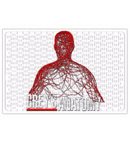 Grey´s Anatomy 02 Puzzle 240 Parça Yapboz