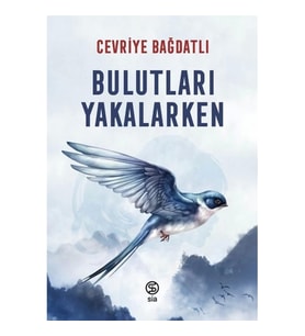 Bulutları Yakalarken