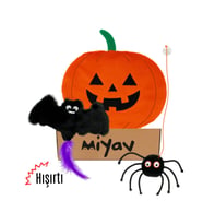 Miyav Cadılar Bayramı Temalı Kedi Oyuncak Seti