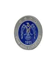 Türk Hava Kuvvetleri PVC Arma