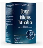 Orzax Ocean Tribulus Terrestris 500 Mg 60 Kapsül