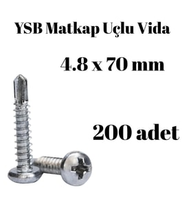 Yıldız Silindir Başlı 4.8x70 YSB Matkap Uçlu Akıllı Vida 200 Adet