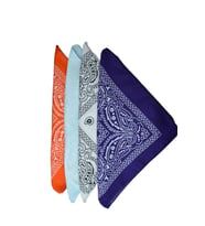 Bandana 2 Li
