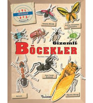 Gizemleri Öğrenelim - Böcekler