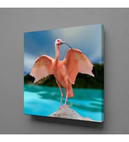 PEMBE FLAMİNGO KANVAS TABLO 160x160cm