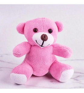 Sevimli Peluş Ayıcıklar 25cm (Premium,Hediye Kutusunda,Not Yazılabilir) (Pembe)