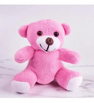 Sevimli Peluş Ayıcıklar 25cm (Premium,Hediye Kutusunda,Not Yazılabilir) (Pembe)