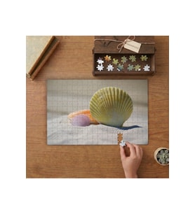 Renkli Deniz Kabukları - Kumsal Tasarımı 240 parça Ahşap Puzzle Ahşap Kutuda MP02449