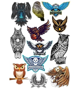 Baykuş Owl Sticker Set-2 13 Parça Telefon, Tablet, Defter, Laptop Sticker