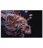 Cakapuzzle Aslan Balığı Yakın Çekim Karanlık Arkaplan Puzzle Yapboz MDF (Ahşap) (120 Parça)