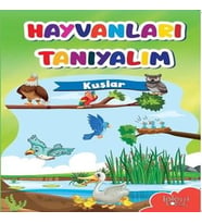 Muhteşem Çizimler ve Kolay Anlatım ile Hayvanları Tanıyalım Kuşlar