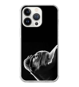 PrintiFy Apple iPhone 13 Pro Max Uyumlu Köpek 1 Baskılı Şeffaf Köşe Korumalı Antişok Kılıf