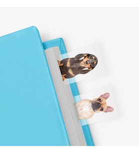 Mustard Dog in a Book
