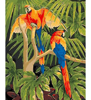 Papağanlar 2 Sayılarla Boyama Seti 40x 50 cm (Tuvale Gerili)
