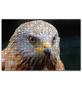 Cakapuzzle Şahin Yakın Çekim  Puzzle Yapboz MDF (Ahşap) (120 Parça)
