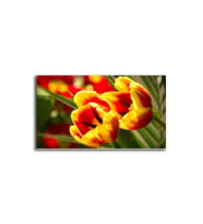 DBSanatevi Turuncu Lale Tablo 40 X 60 Cm