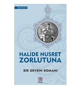 Bir Devrin Romanı