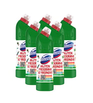 Domestos Dağ Esintisi Yoğun Kıvamlı Çamaşır Suyu 750 ml x 6 Adet