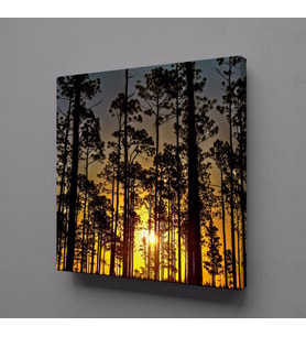 AĞAÇLAR KANVAS TABLO 80x80cm (Karışık)