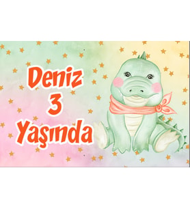 Sevimli Timsah Temalı Doğum Günü Afişi 50x70 cm