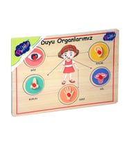 166/167 Onyıl, Ahşap Tutmalı Organlar