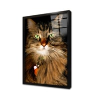 Kedi Çerçeveli Cam Tablo