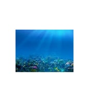Kanki Pet KP8550009 Akvaryum Arka Fon Yapıştırma 85 x 50 CM
