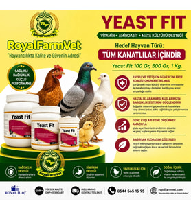 Tüm Kanatlılar, Güvercin ve Kafes Kuşları İçin Yeast Fit 1 Kg. Maya Bağışıklık ve Sindirim