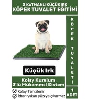 Pet Evcil Hayvan Köpek Eğitim 3 Katmanlı Sızdırmaz Kolay Temizlenir Küçük Irk Yavru Köpek Tuvaleti